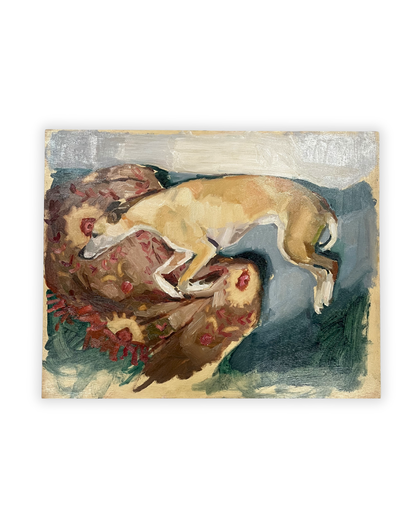 Dog Dreaming
