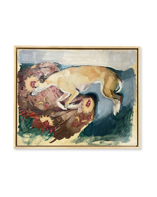 Dog Dreaming