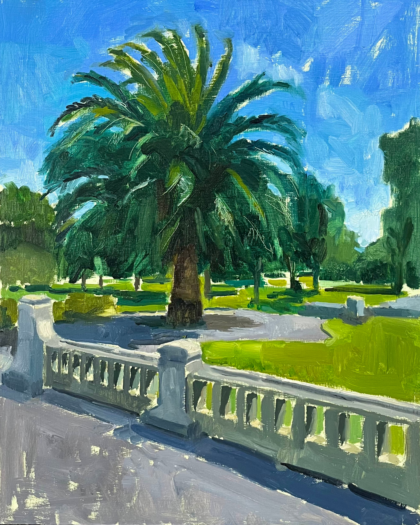 Old Palm Tree, Midday Sun