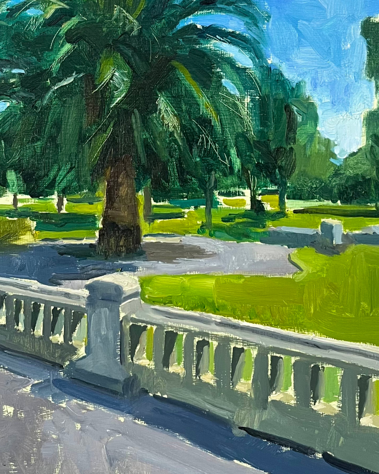 Old Palm Tree, Midday Sun