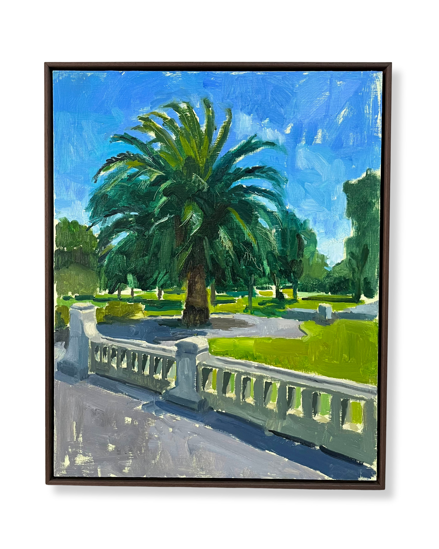 Old Palm Tree, Midday Sun