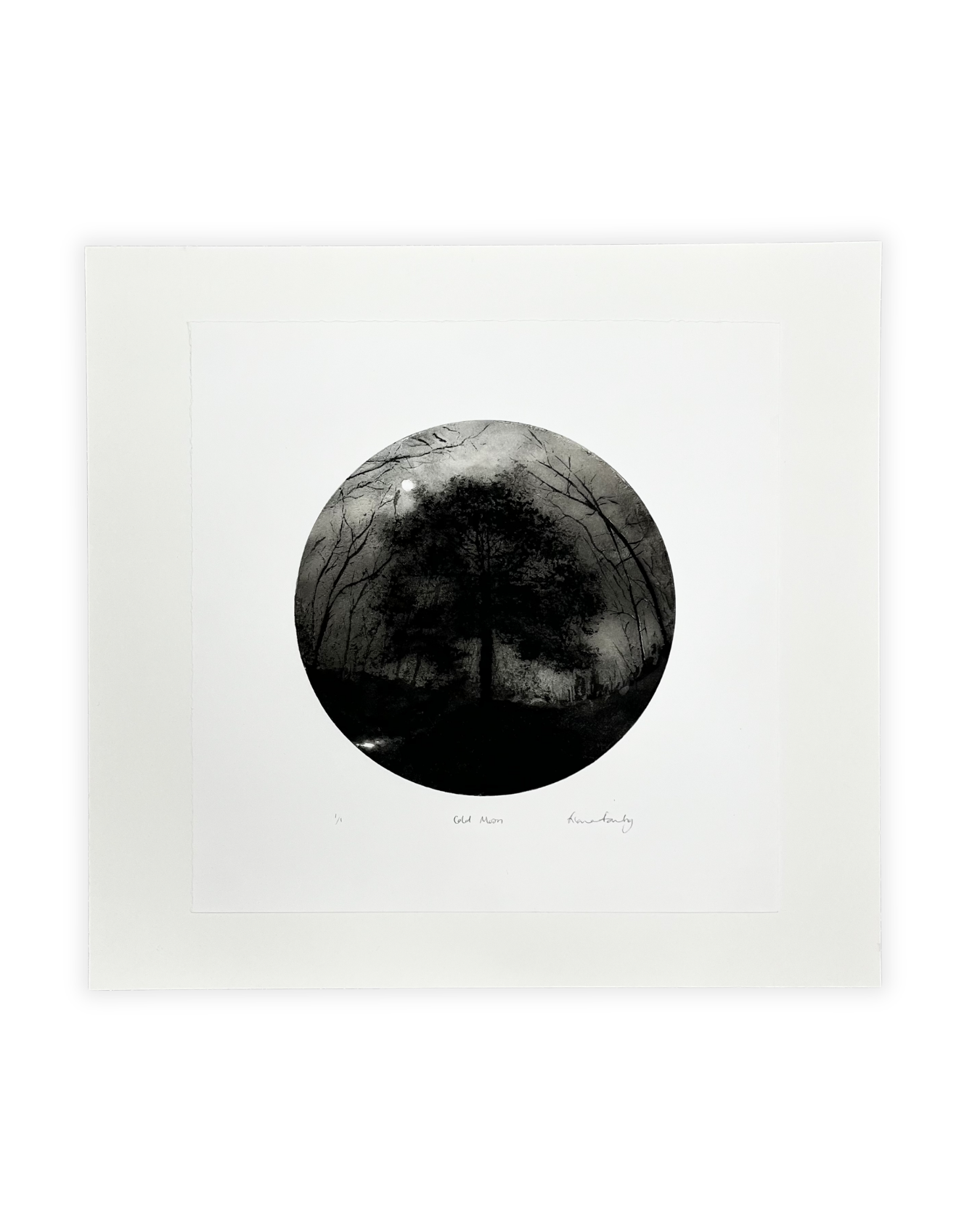 Cold Moon