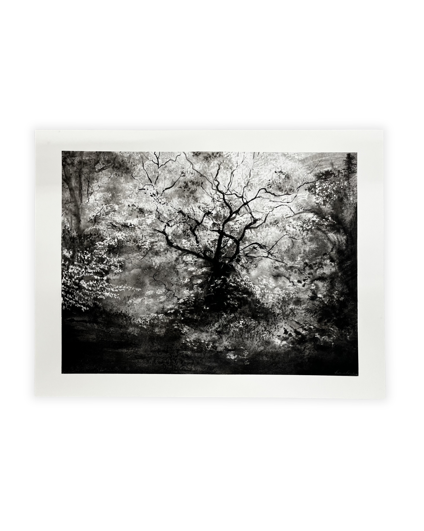 Epping Oak