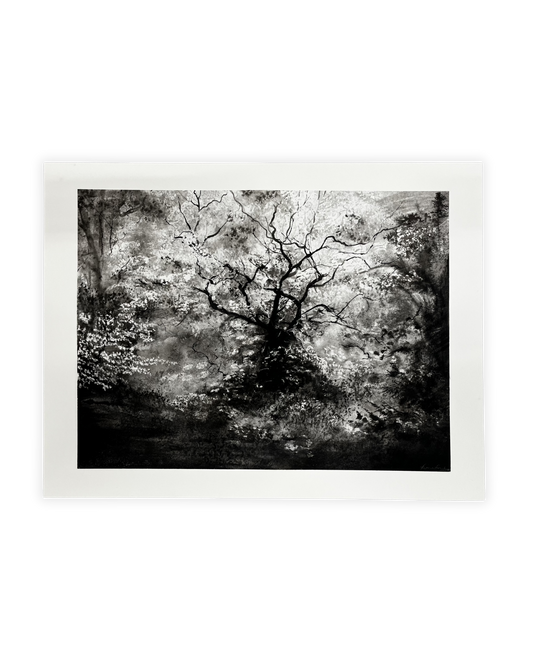 Epping Oak
