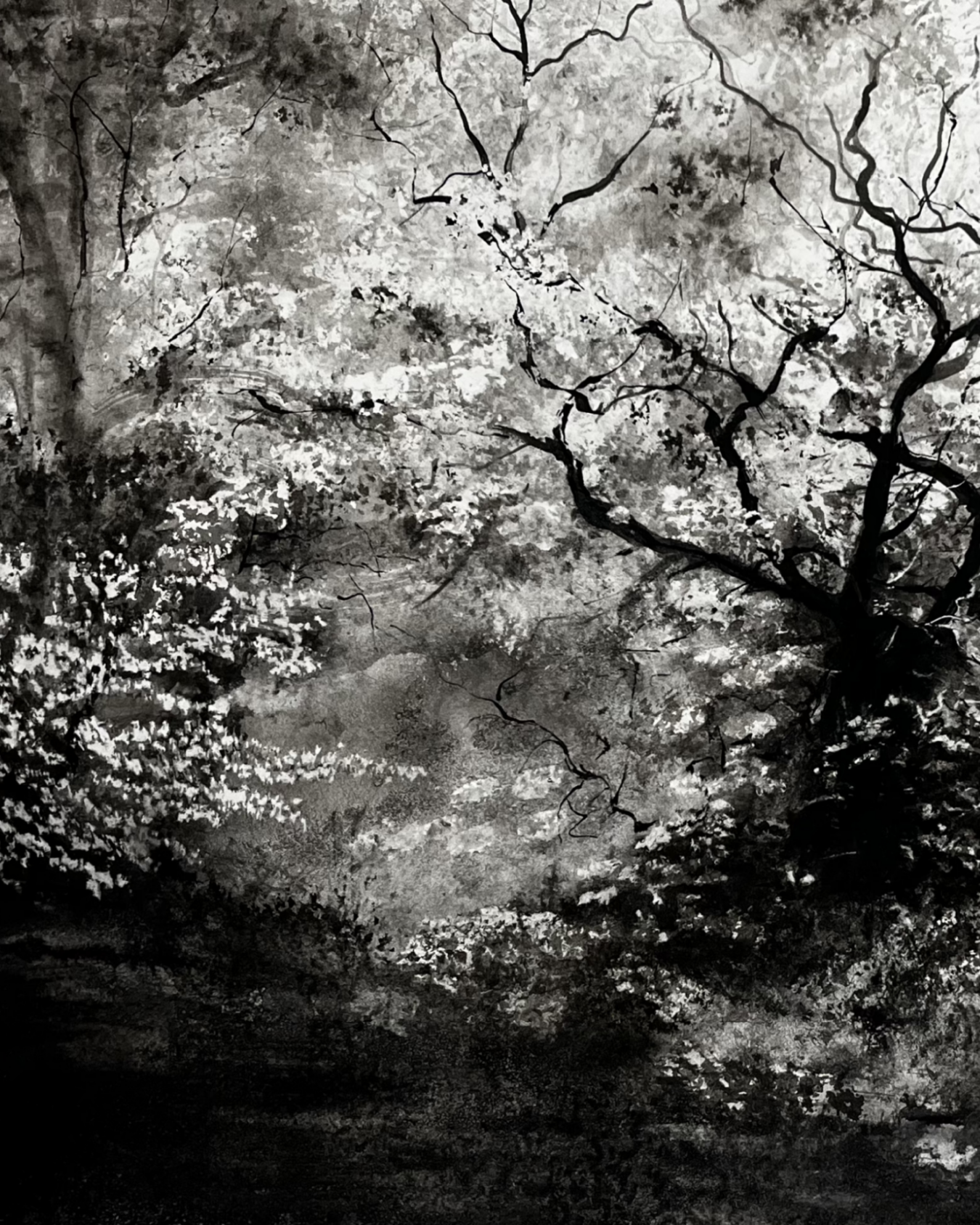 Epping Oak