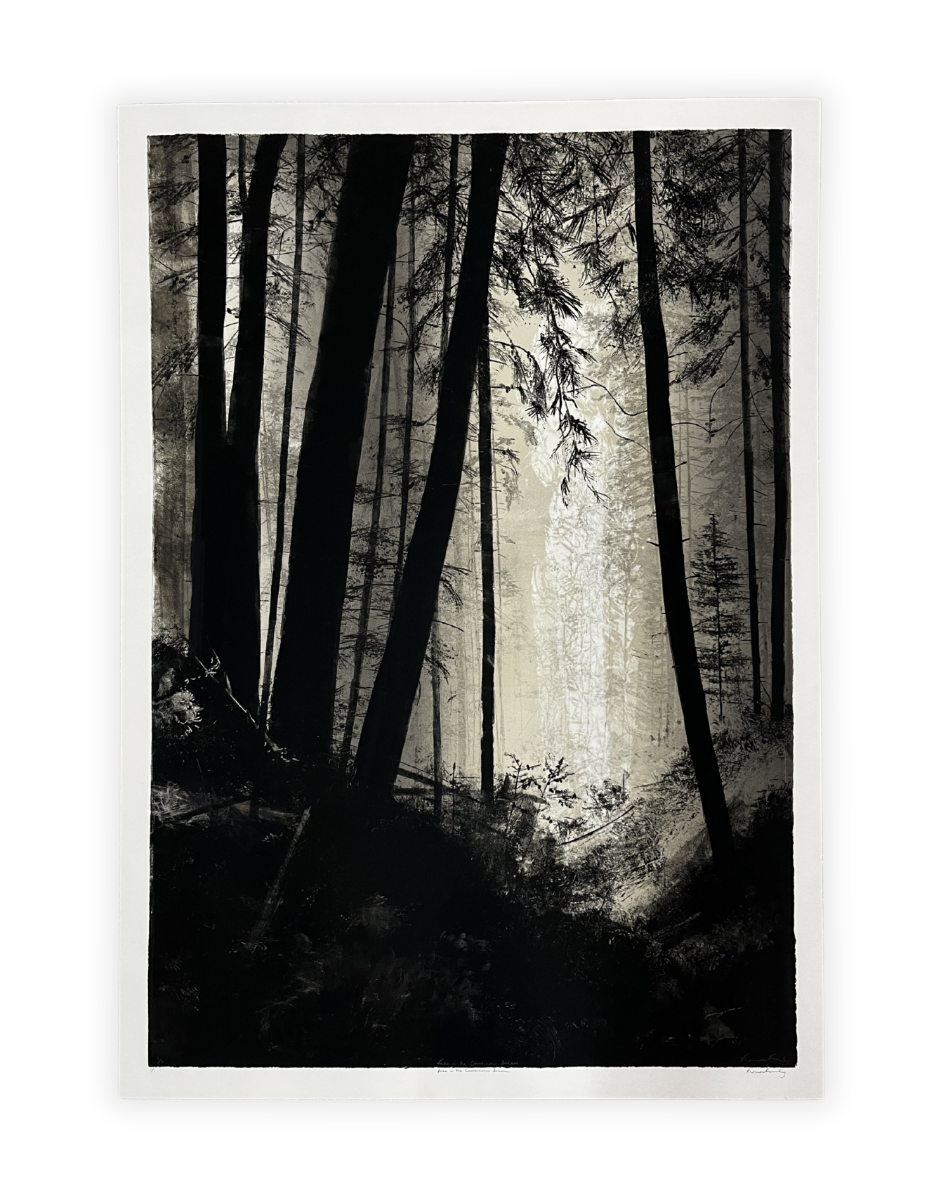 Free in the Cavernous Dream