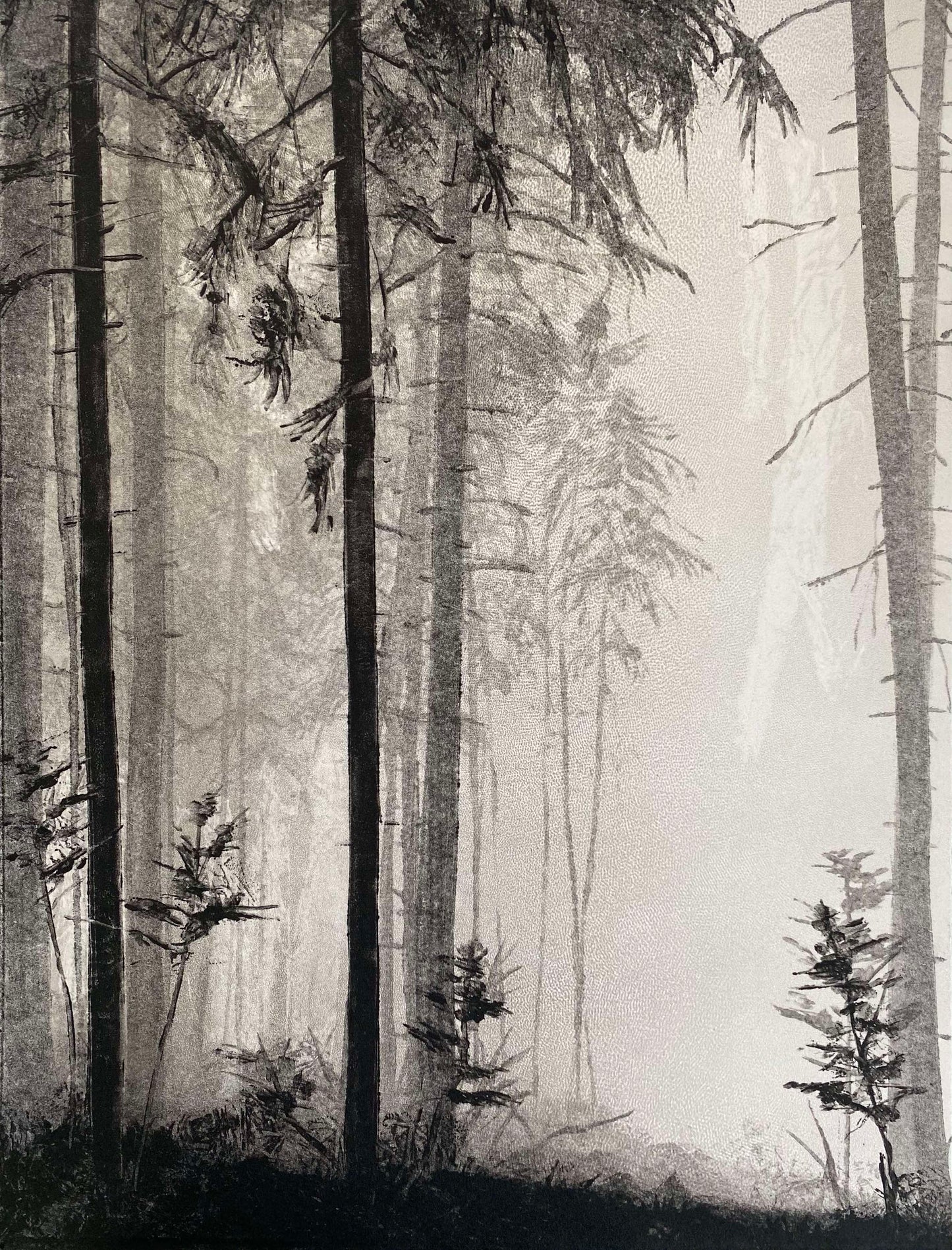 Haze