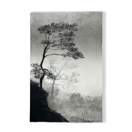 Letting in Lightness