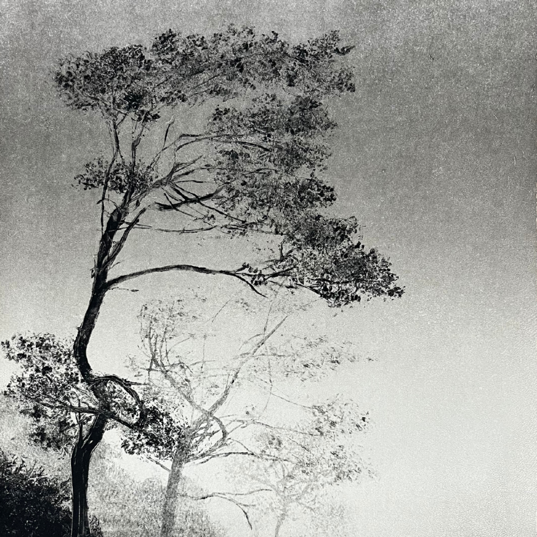 Letting in Lightness