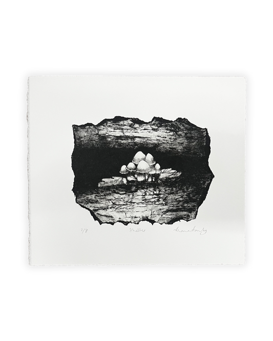 Shelter