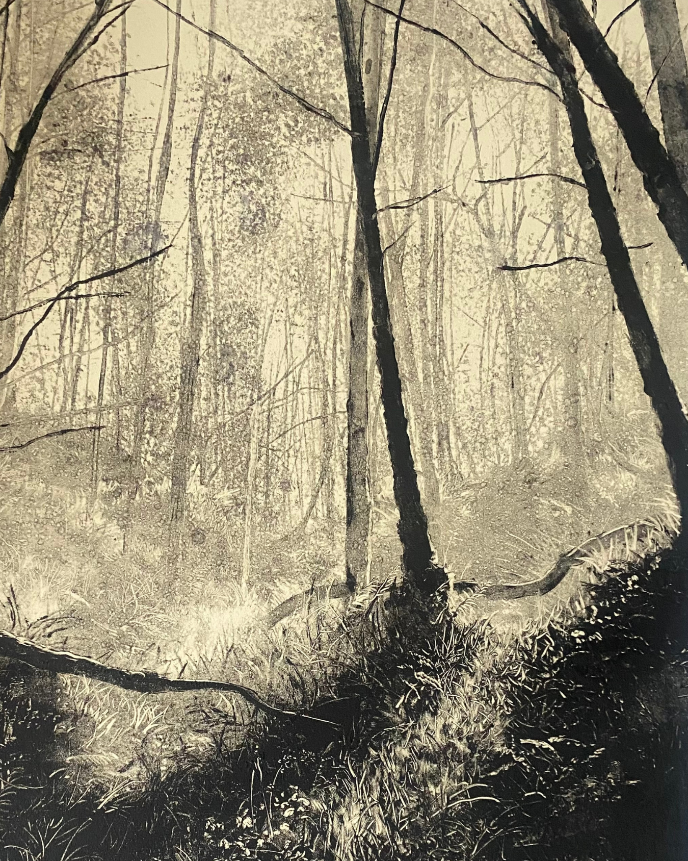 Transient