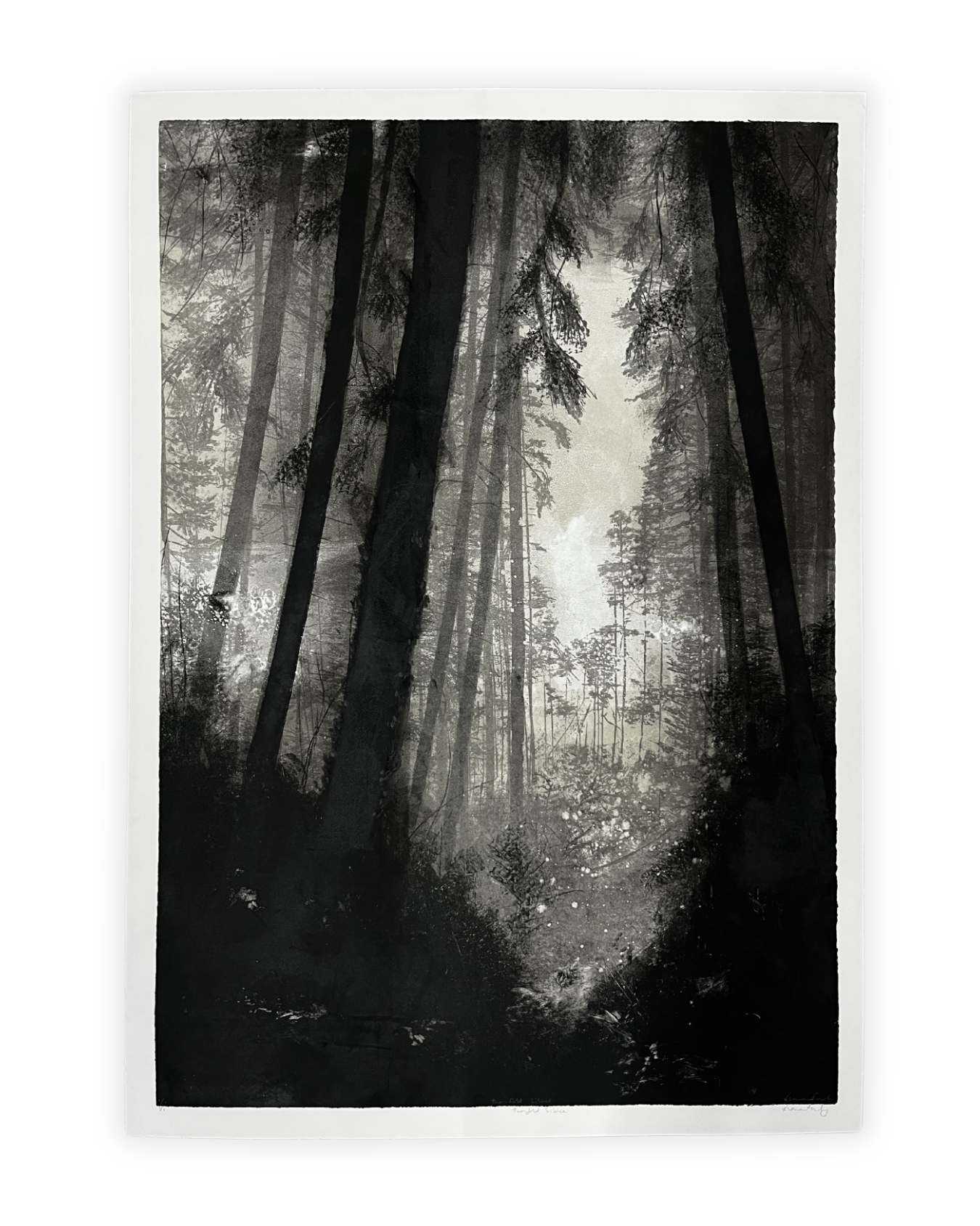 Two Fold Silence