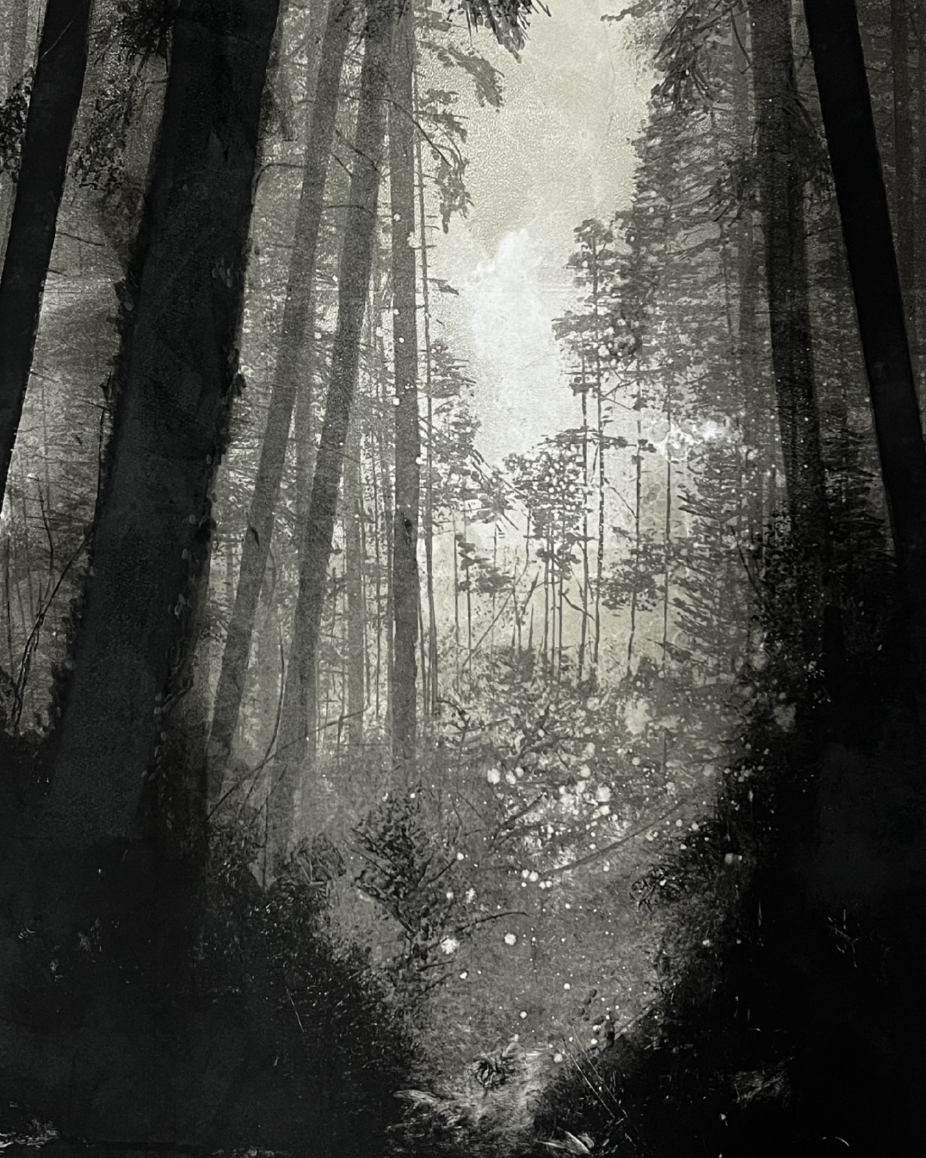 Two Fold Silence