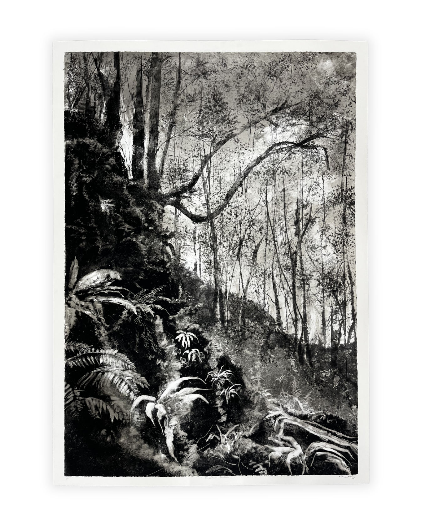 Uncertain Terrain