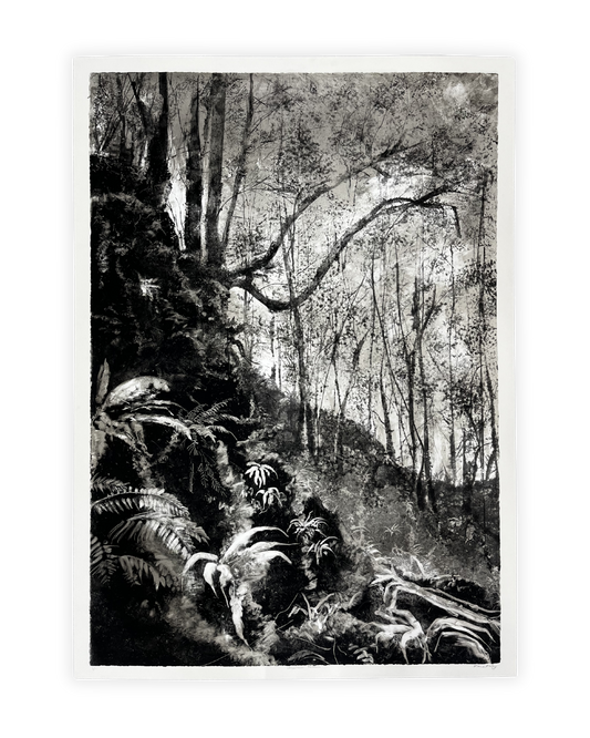 Uncertain Terrain