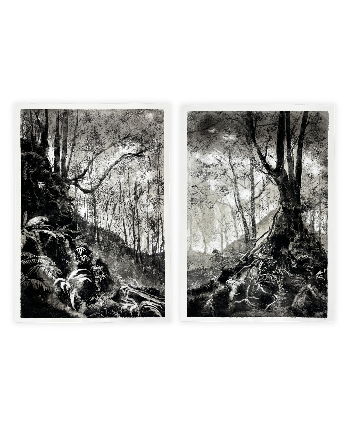 Uncertain Terrain