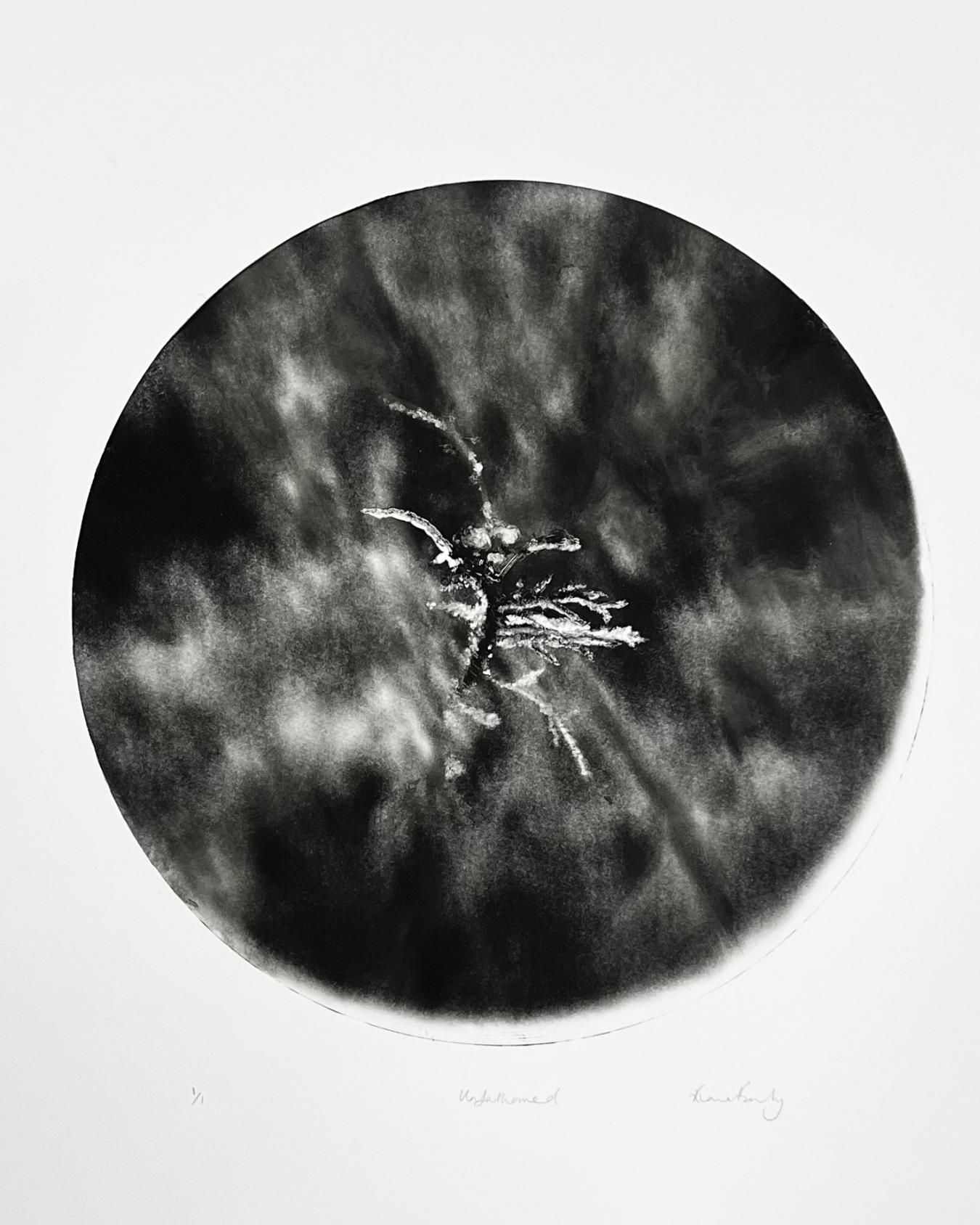 Unfathomed
