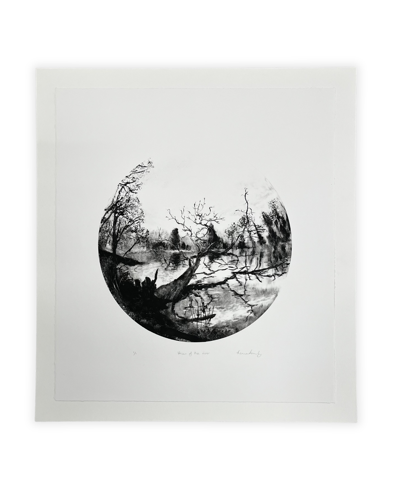 Voices of the River