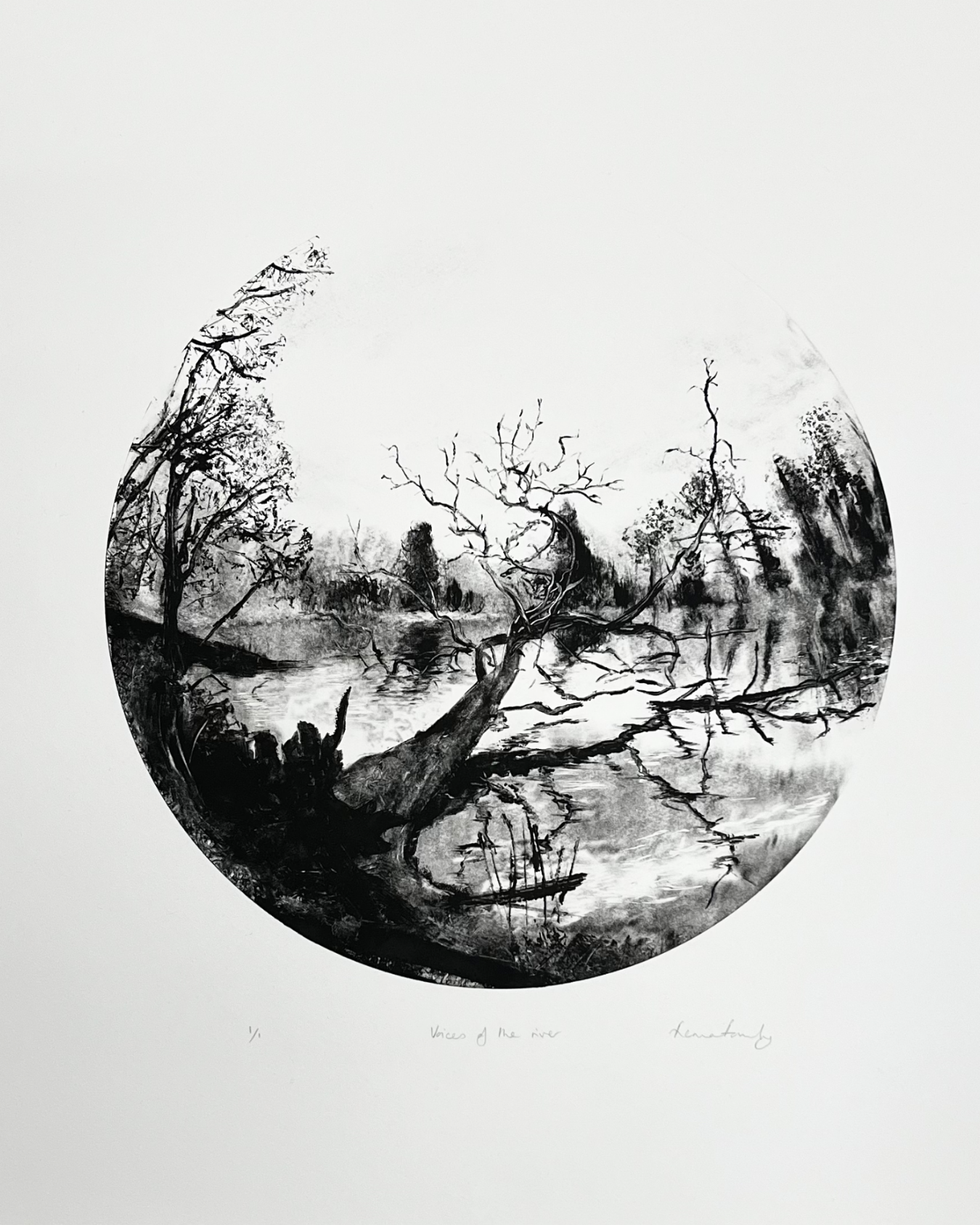 Voices of the River