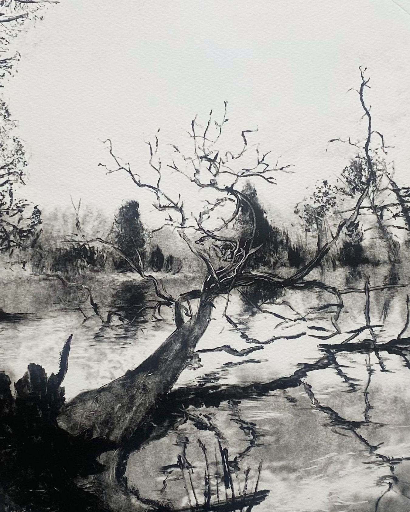Voices of the River