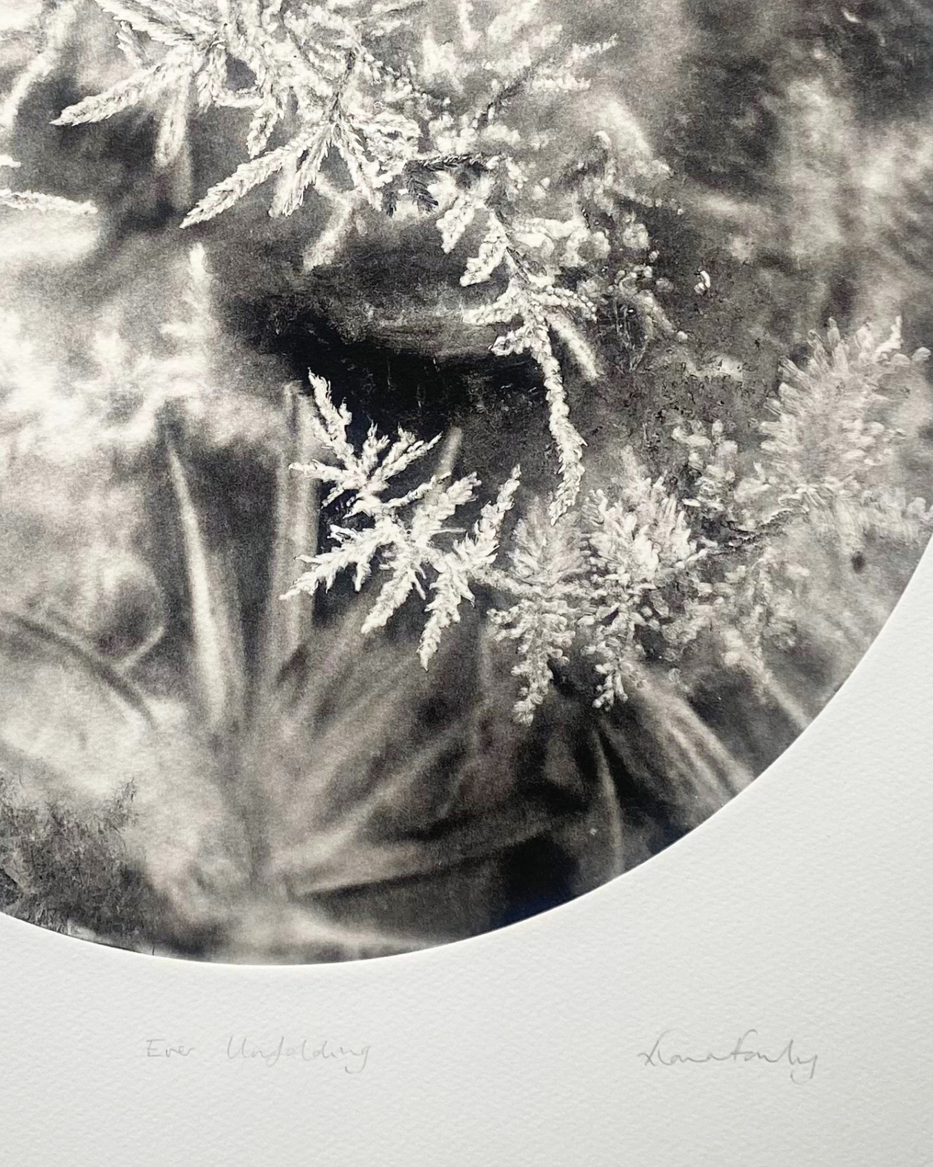 Ever Unfolding