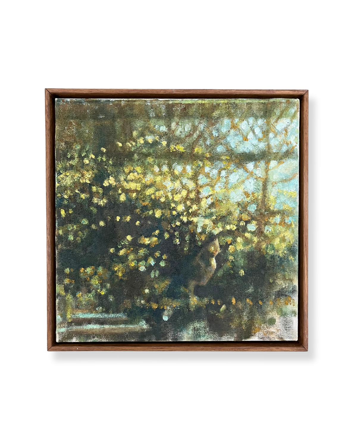 Between Trees