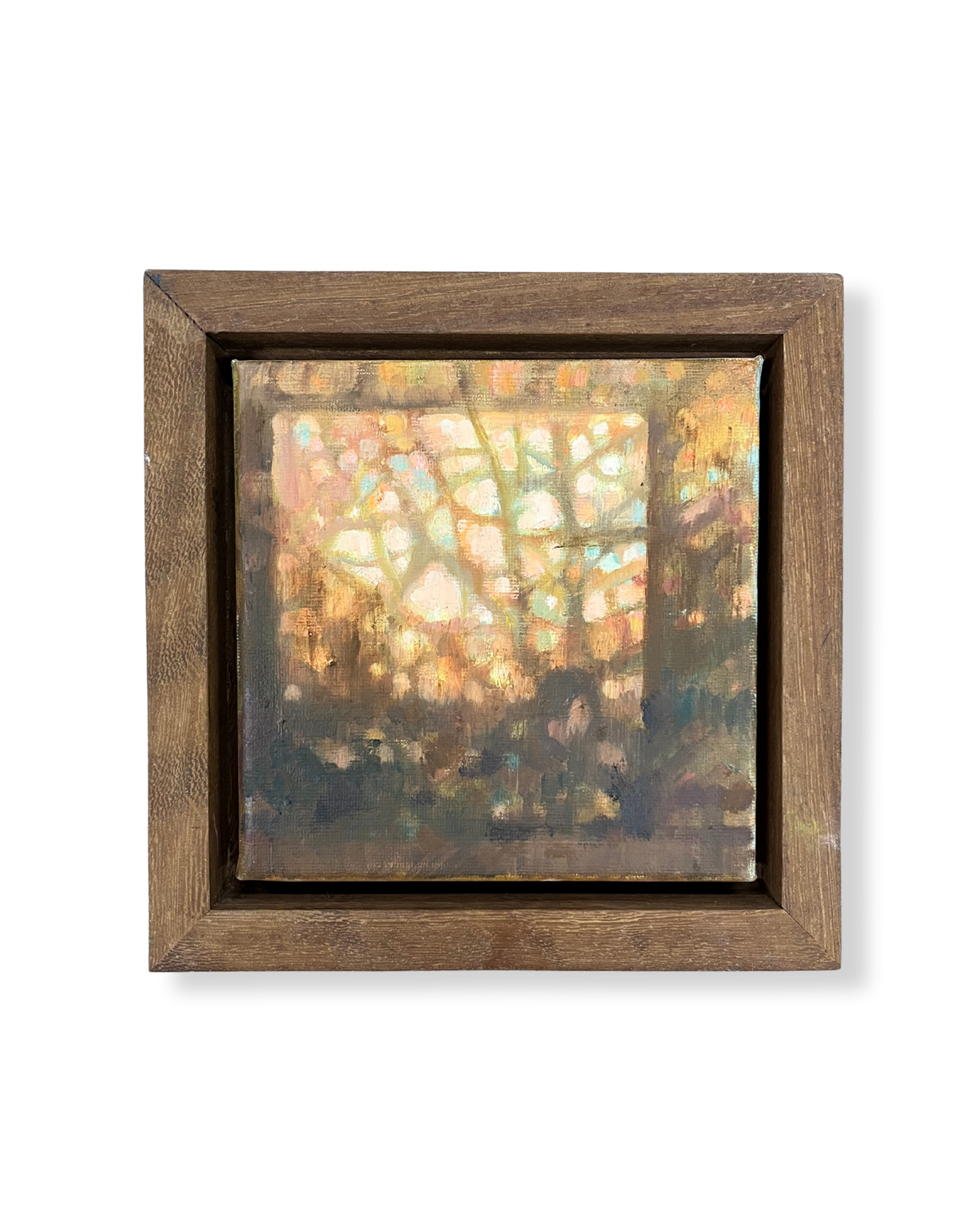 Looking Through