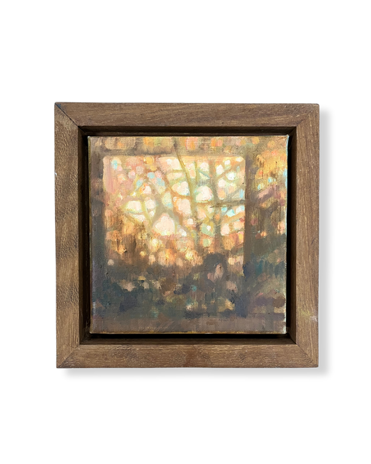 Looking Through
