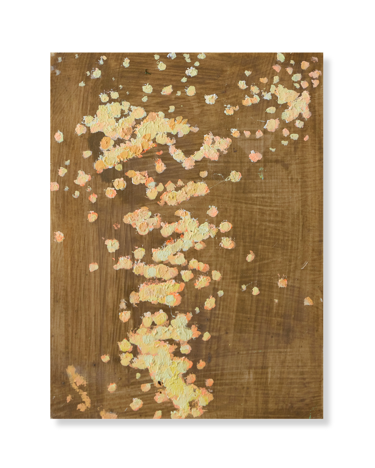 Sea Sparkles - Orange