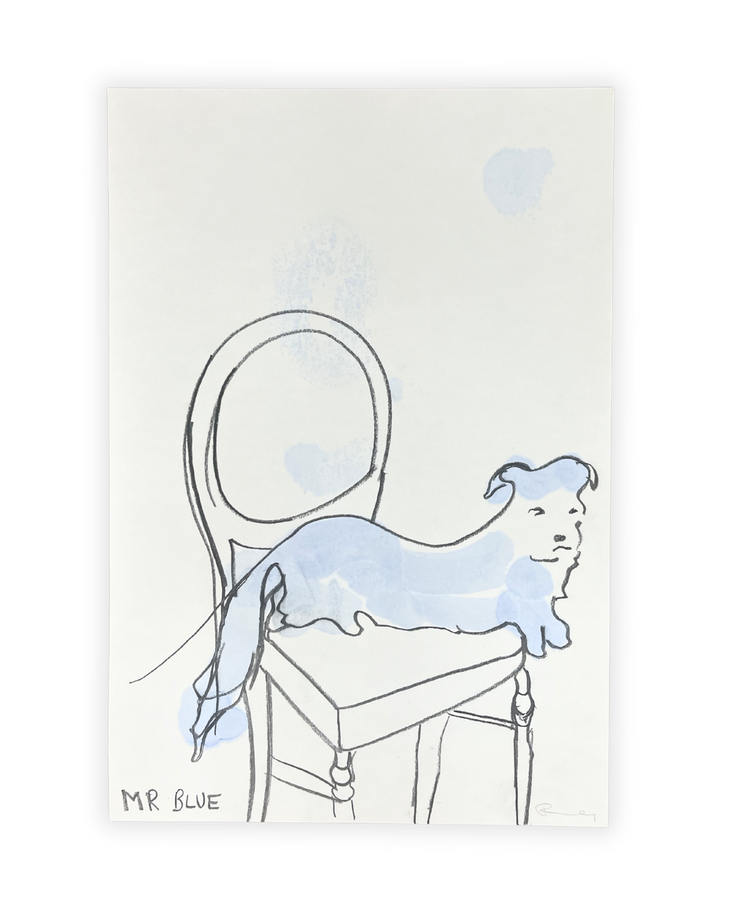 Mr Blue