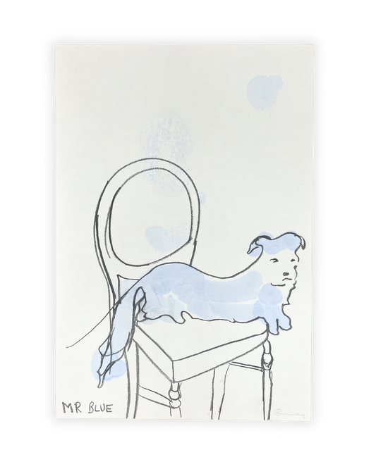 Mr Blue