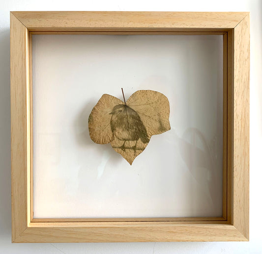 Encapsulated Memory: Robin