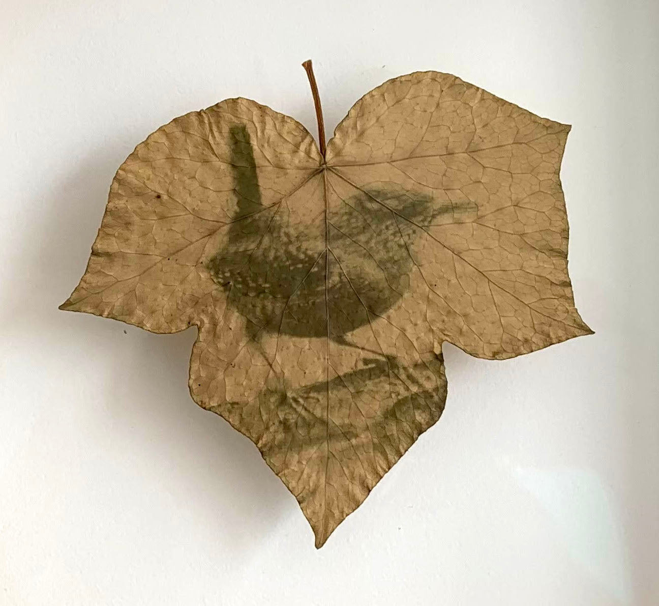 Encapsulated Memory: Wren