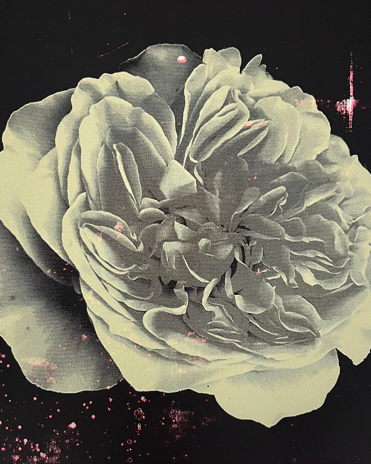 Fake Fake Plastic Flowers - Rose