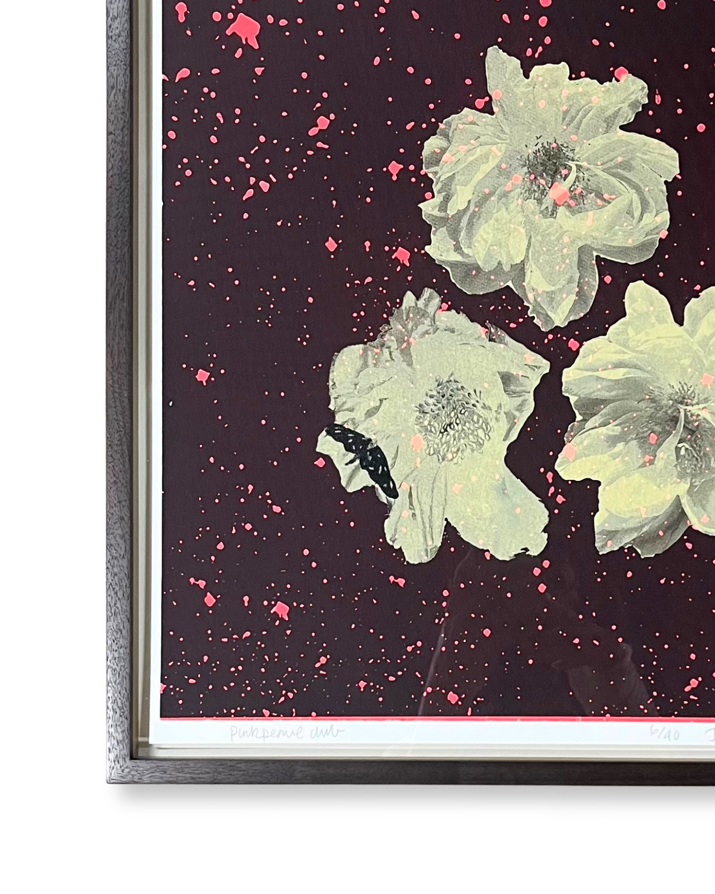 Pink Peonie Club