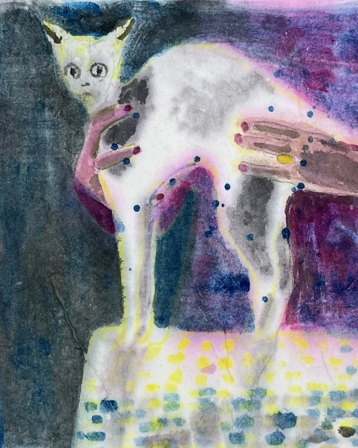 Trophy Cat