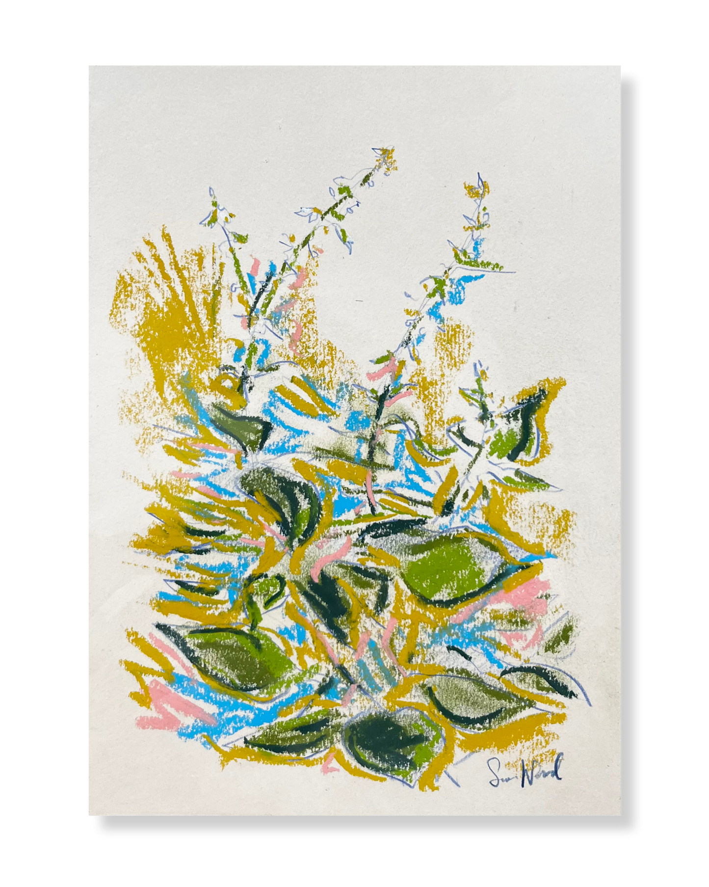 A Floral Study From Hampstead Heath