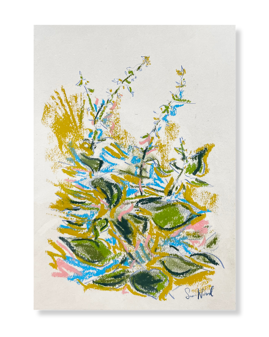 A Floral Study From Hampstead Heath