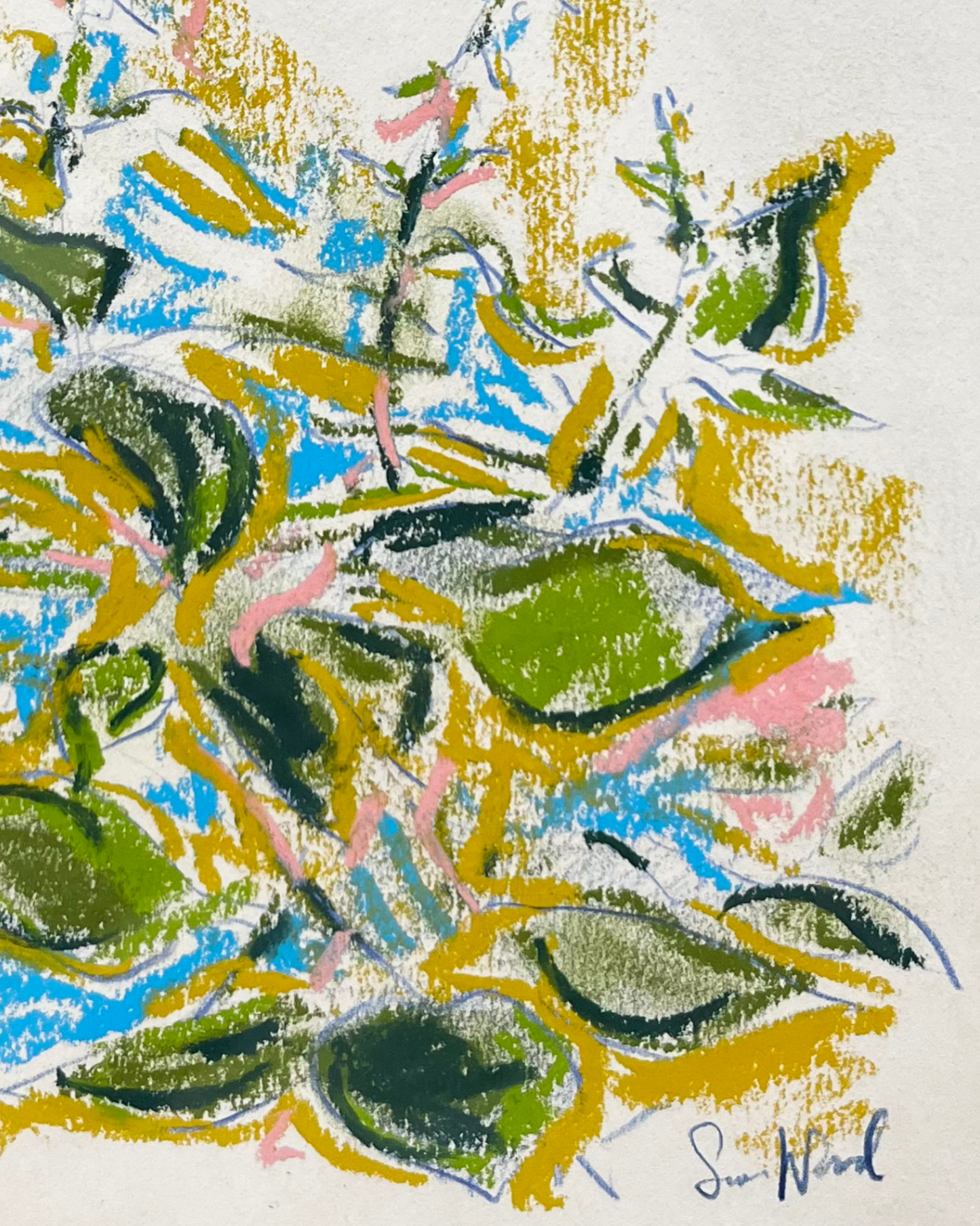 A Floral Study From Hampstead Heath