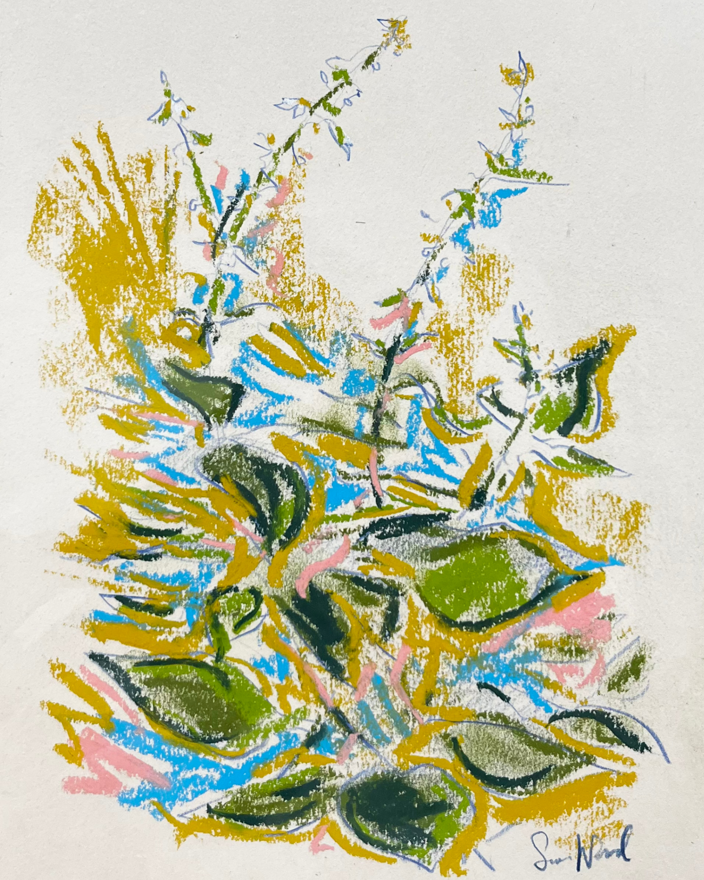 A Floral Study From Hampstead Heath