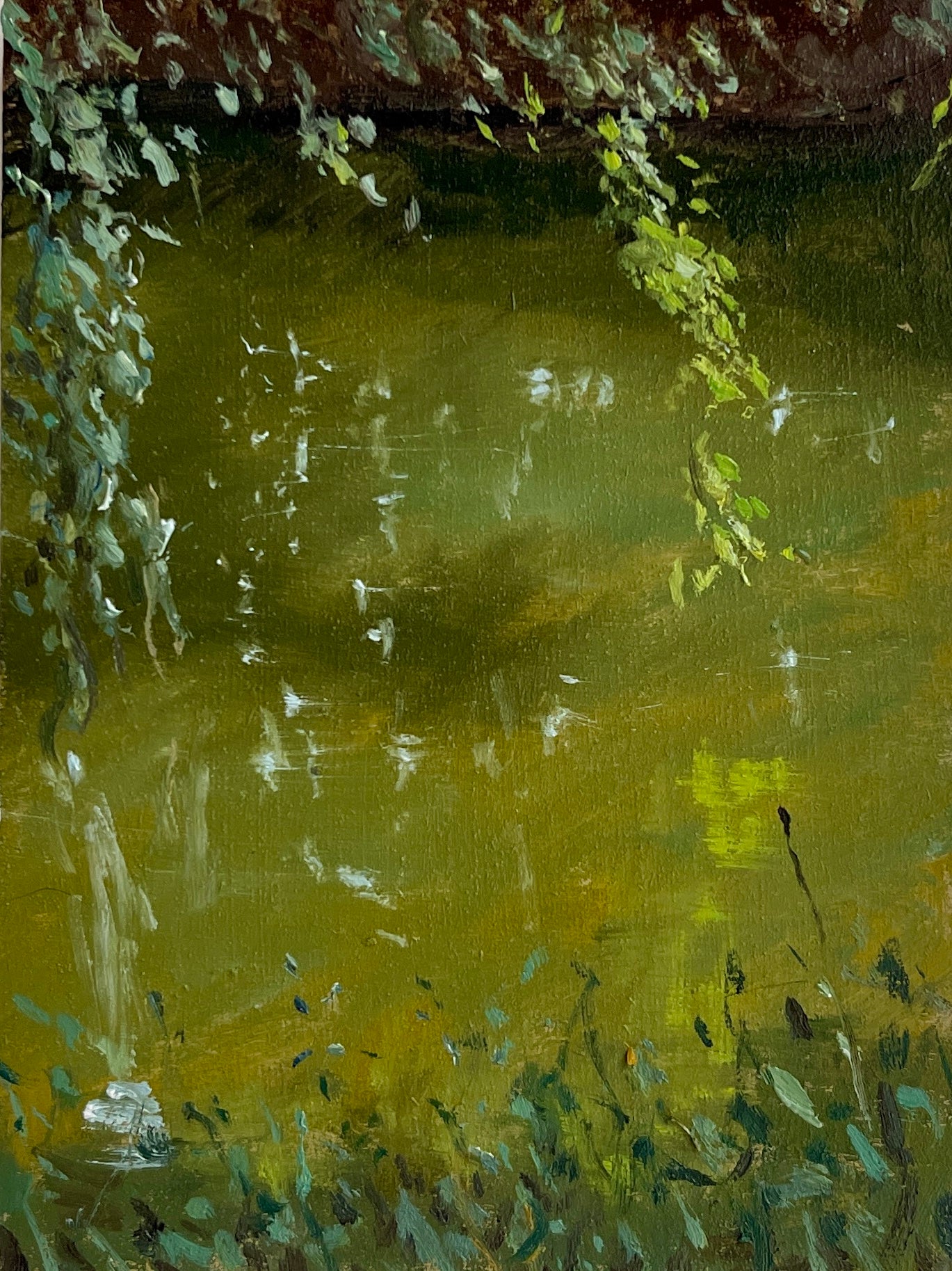 Vista al Rio